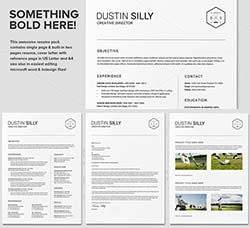 个人简历模板(INDD/DOCX/PSD)：Clean Resume CV - Silly